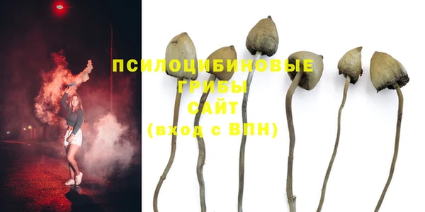 MESCALINE Абинск