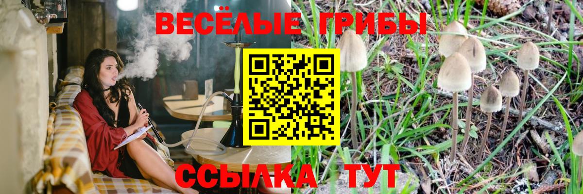 Галлюциногенные грибы мухоморы Октябрьский